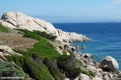 Blick in Richtung Korsika