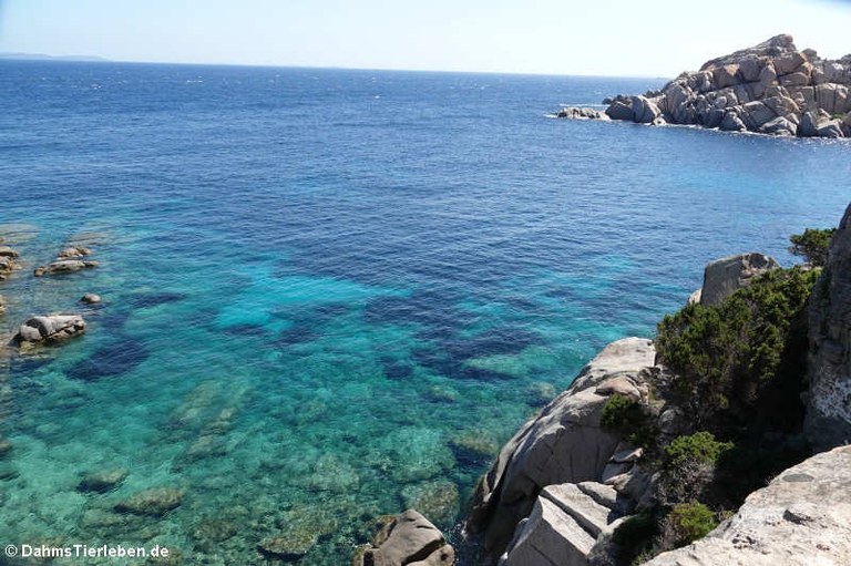 Granitfelsen auf Capo Testa