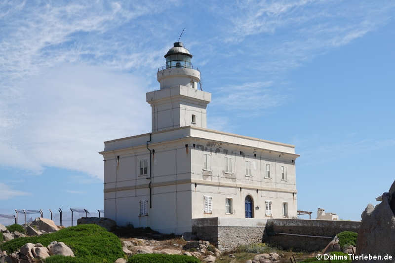 Der 1845 erbaute Leuchtturm