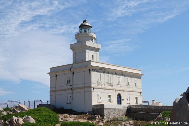 Leuchtturm auf Capo Testa