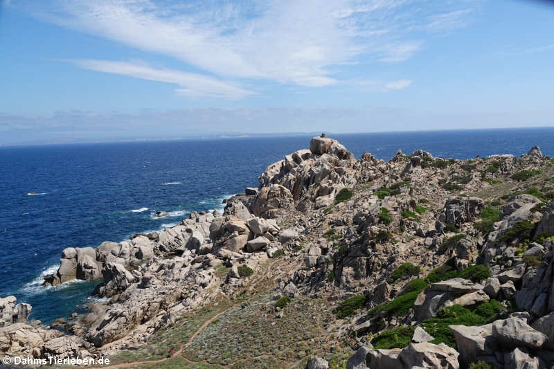 Granitfelsen auf Capo Testa