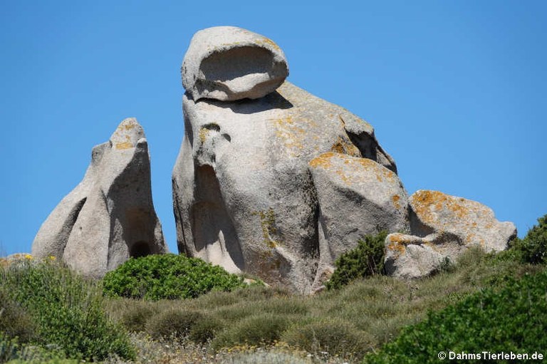 Granitfelsen auf Capo Testa