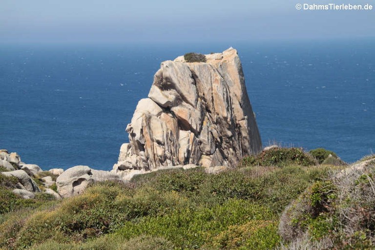 Granitfelsen auf Capo Testa