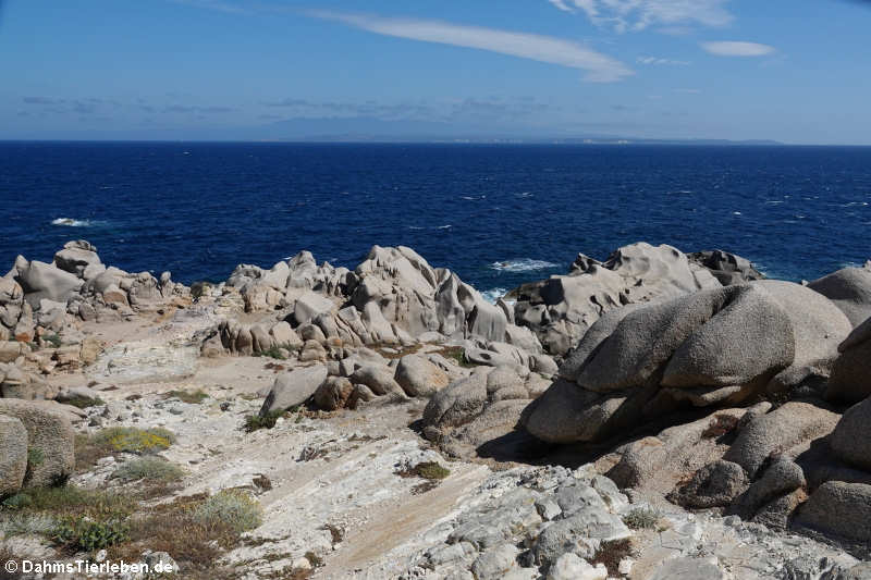 Granitfelsen auf Capo Testa