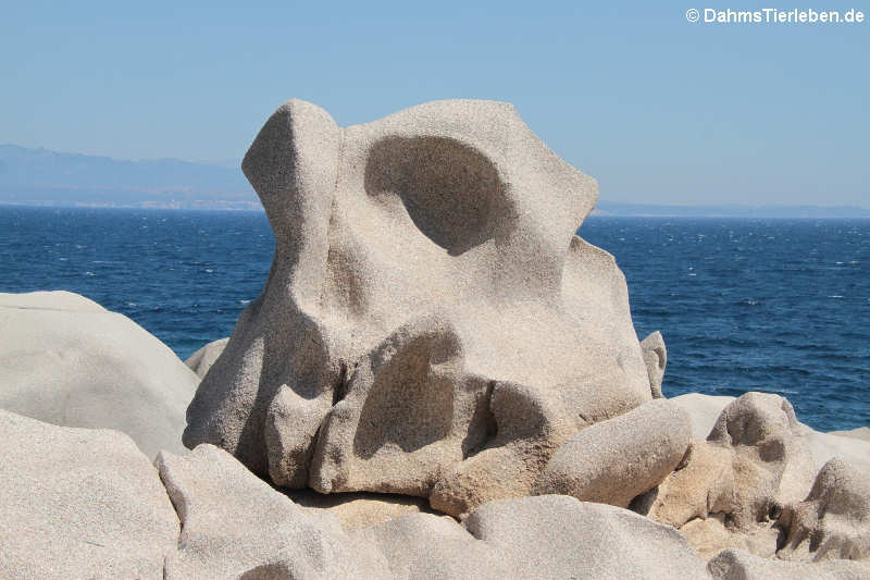 Granitfelsen auf Capo Testa