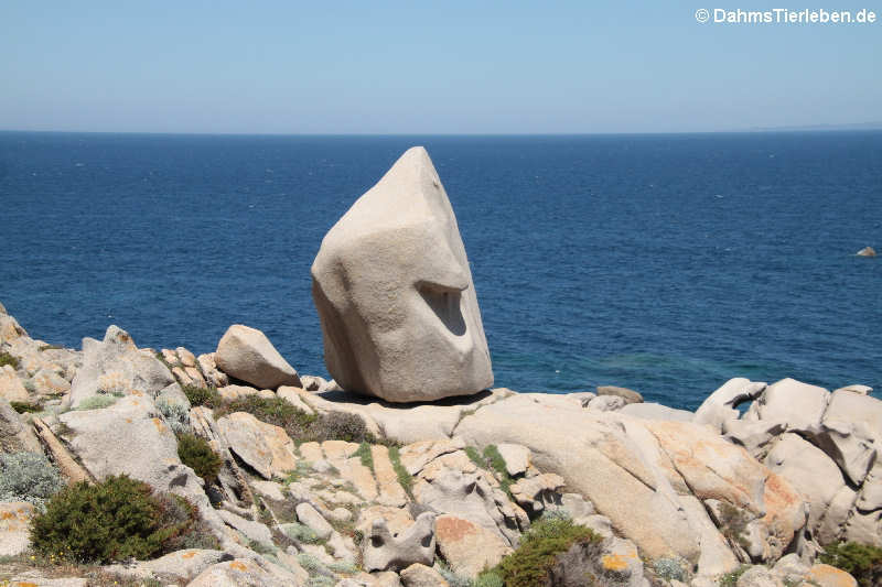 Granitfelsen auf Capo Testa