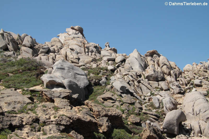 Granitfelsen auf Capo Testa