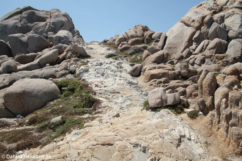 Granitfelsen auf Capo Testa