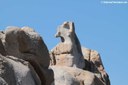 Granitfelsen auf Capo Testa