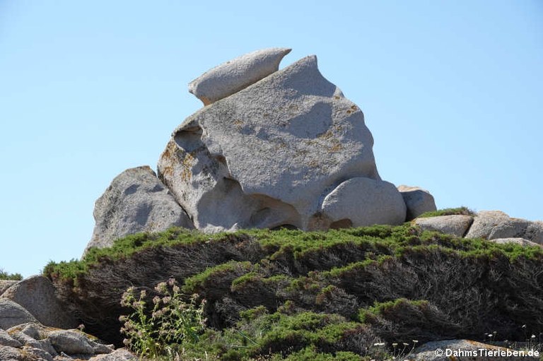 Granitfelsen auf Capo Testa