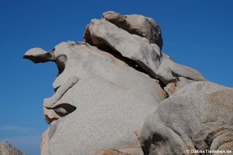 Granitfelsen auf Capo Testa