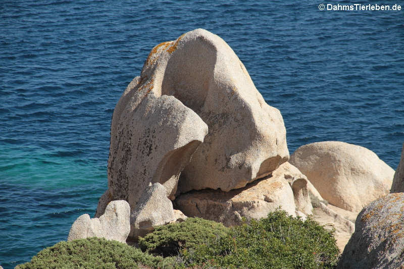 Granitfelsen auf Capo Testa