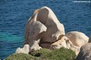 Granitfelsen auf Capo Testa