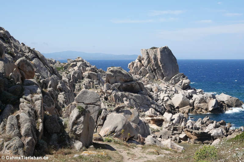 Granitfelsen auf Capo Testa