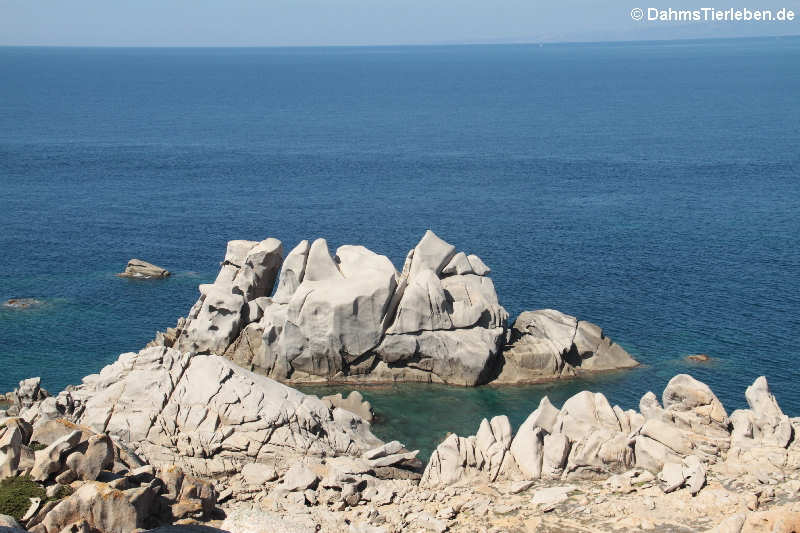 Granitfelsen auf Capo Testa