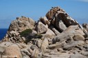 Granitfelsen auf Capo Testa