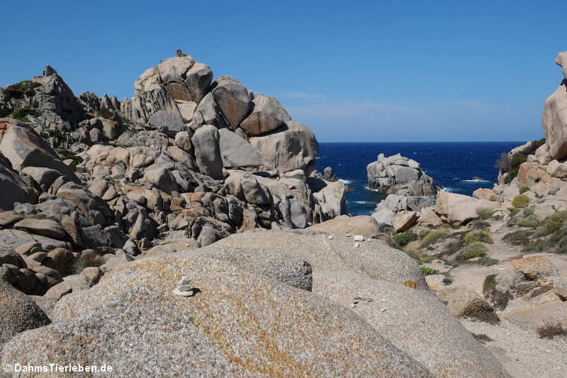 Granitfelsen auf Capo Testa