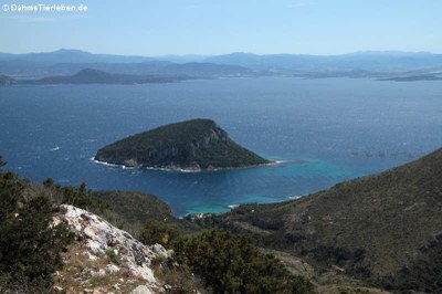 Blick auf Isola di Figarolo vom Semaforo