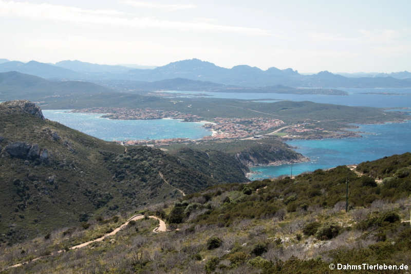 Blick auf Golfo Aranci