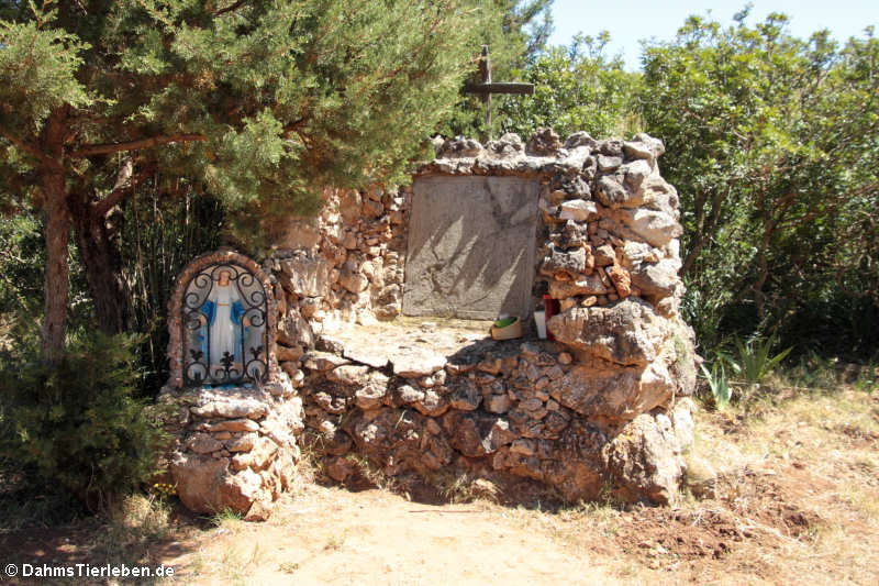 Cimitero degli Inglesi