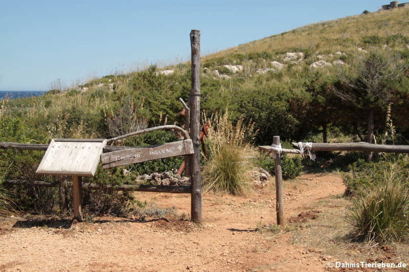 Eingang zum Cimitero