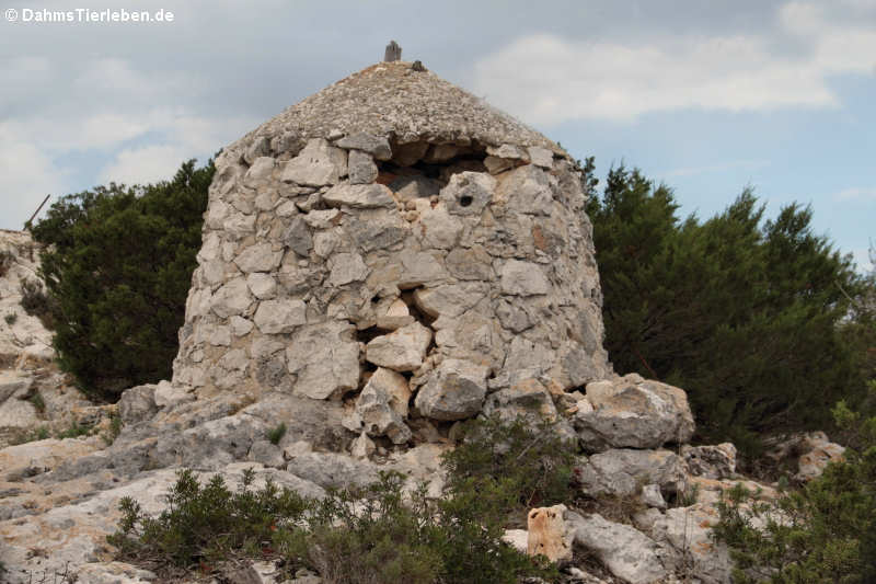 Die Ruine des Semaforo