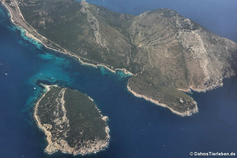 LInks die Isola di Figarolo, rechts der lange Weg zum Semaforo