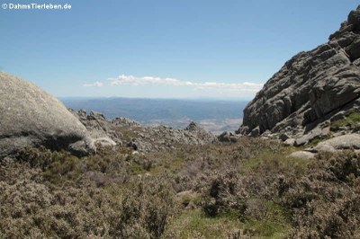 Grandiose Aussicht vom Monte Limbara