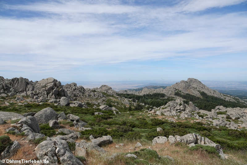 Grandiose Aussicht vom Monte Limbara