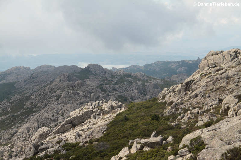 Grandiose Aussicht vom Monte Limbara