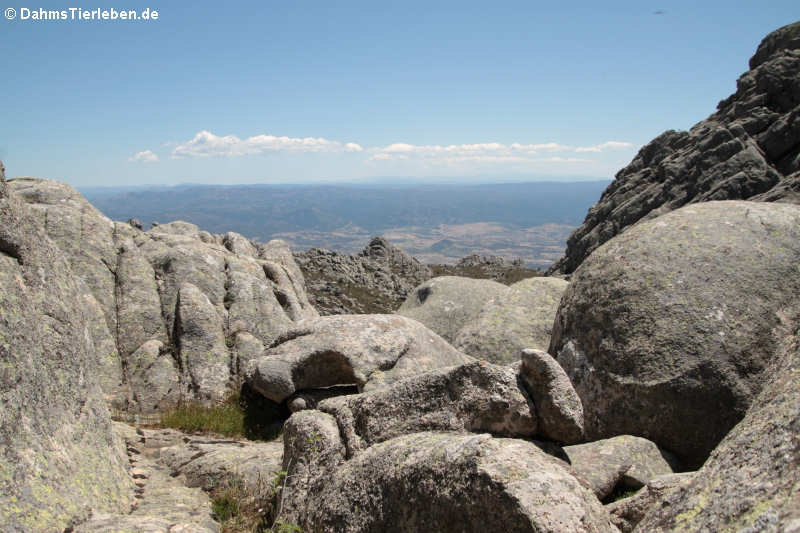 Felsformationen auf dem Monte Limbara