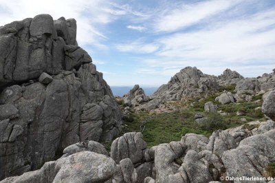 Felsformationen auf dem Monte Limbara