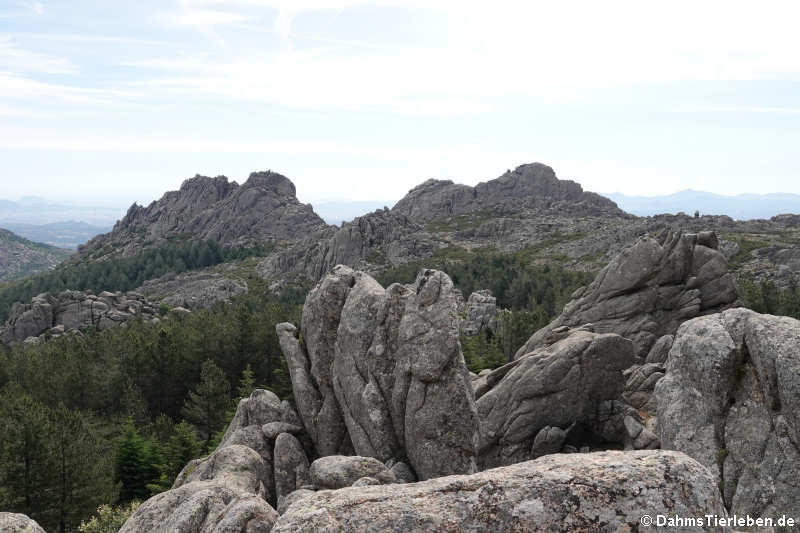 Felsformationen auf dem Monte Limbara