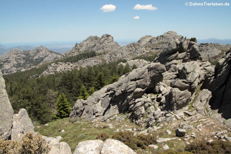 Felsformationen auf dem Monte Limbara