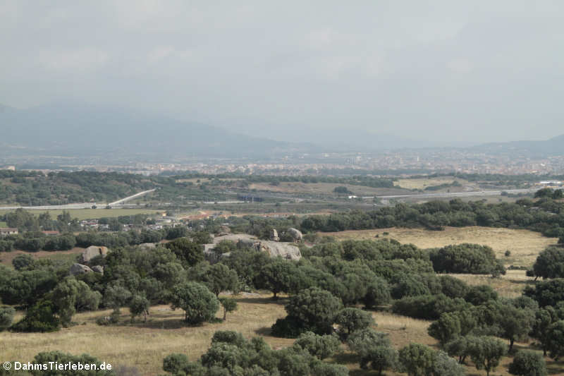 Castello di Pedres