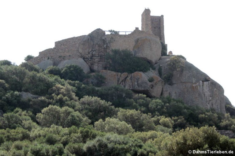 Castello di Pedres