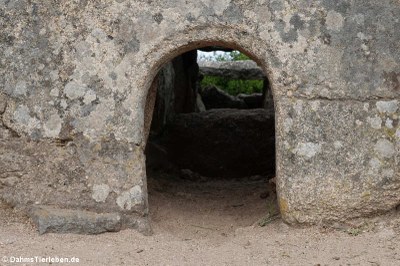 Zugang zur Grabstätte