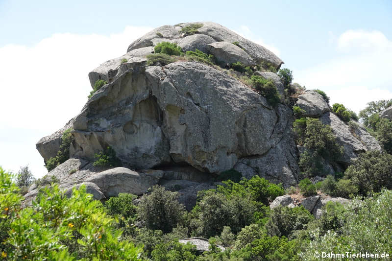 Tempietto Malchittu