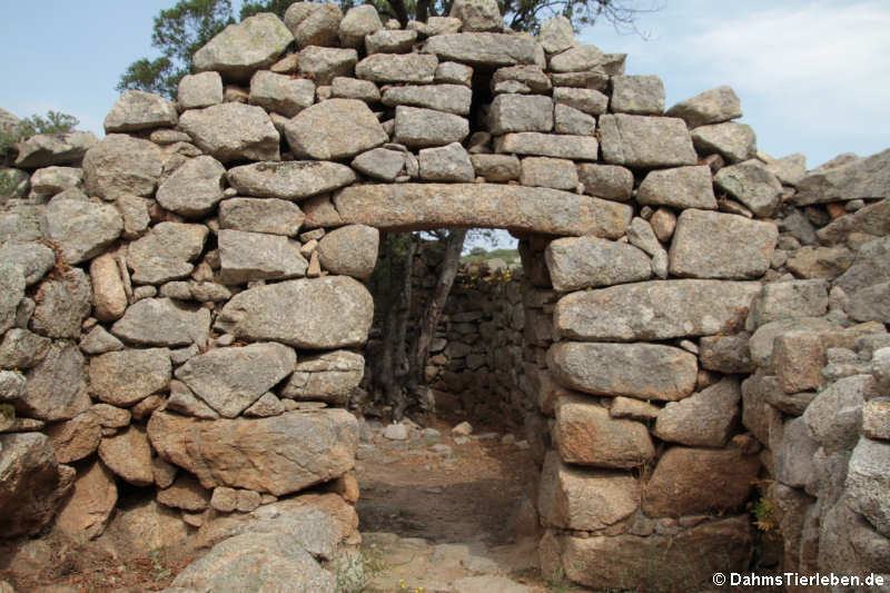 Tempietto Malchittu