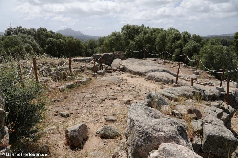 Nuraghe Albucciu