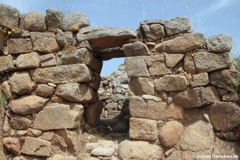 Nuraghe Albucciu