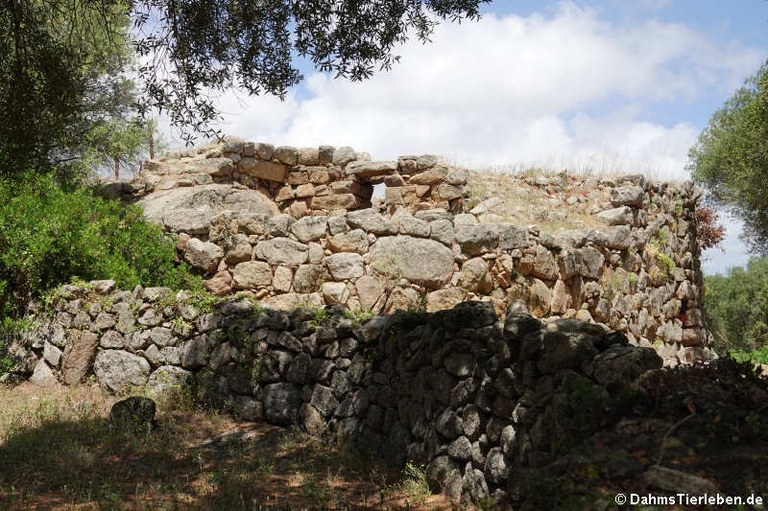 Nuraghe Albucciu