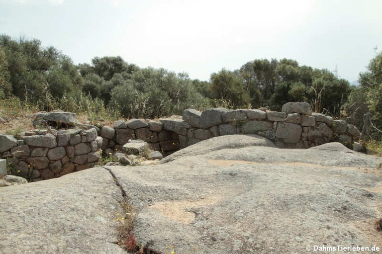 Nuraghe Albucciu