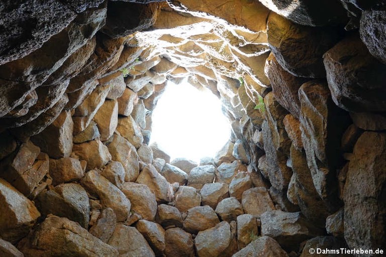 Nuraghe La Prisgiona