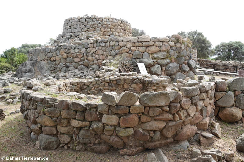 Nuraghe La Prisgiona