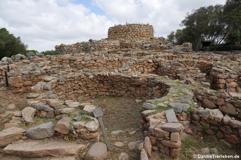 Nuraghe La Prisgiona