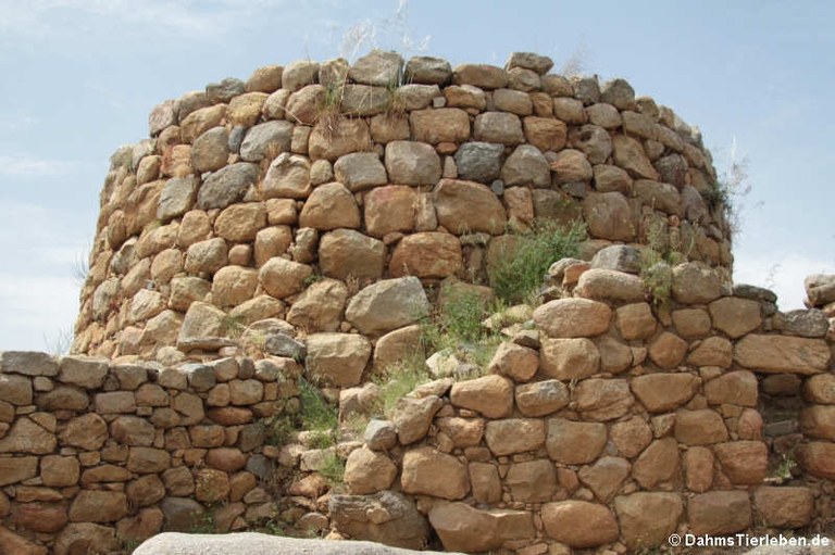 Nuraghe La Prisgiona