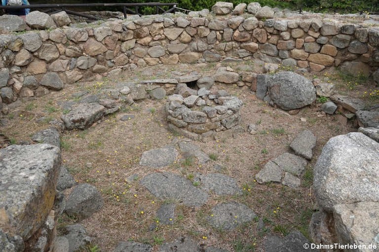 Nuraghe La Prisgiona