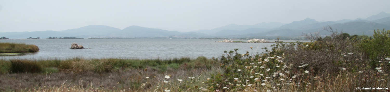 Die Lagune von San Teodoro-3