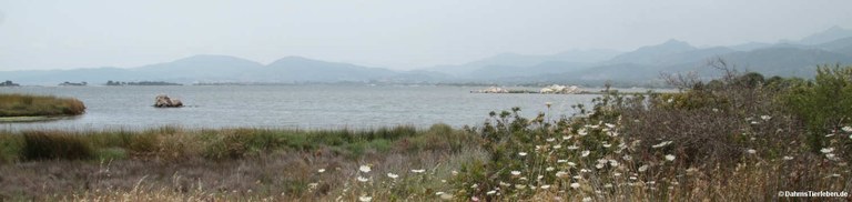 San Teodoro